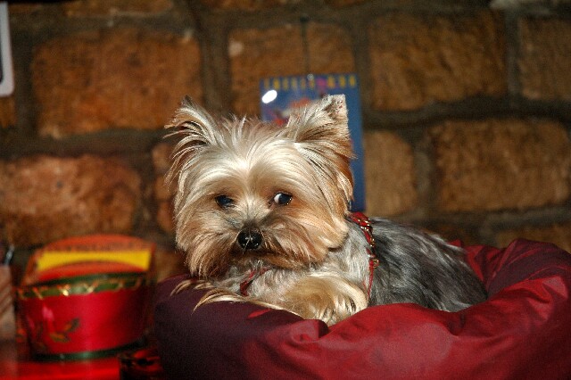 min 2006 02 09 zed 147